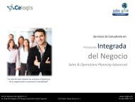 Servicios Consultoria - Celogis