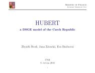 DSGE Model of the Czech Republic - Humusoft