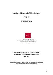 Skript - Mikrobiologie und Weinforschung - Johannes Gutenberg ...