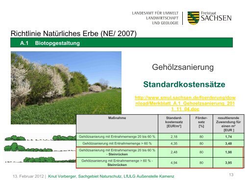 NE/ 2007 - Sächsisches Staatsministerium für Umwelt und ...