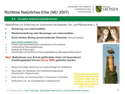 NE/ 2007 - Sächsisches Staatsministerium für Umwelt und ...