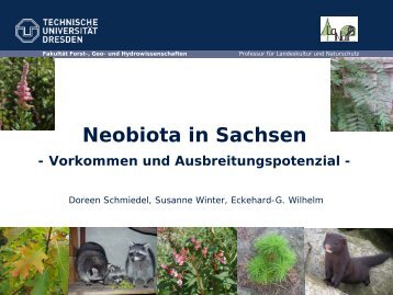 Neobiota in Sachsen - Vorkommen und Ausbreitungspotenzial