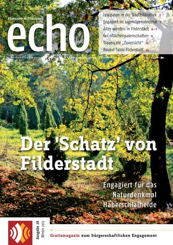 Ausgabe lesen - echo