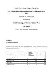 Salzbelastung der Werra und ihrer Aue - Unterellen