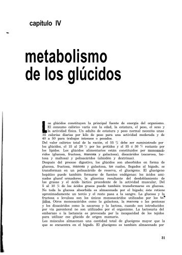 El metabolismo de los glúcidos