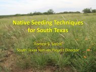 Native Seeding Techniques for South Texas - Caesar Kleberg ...