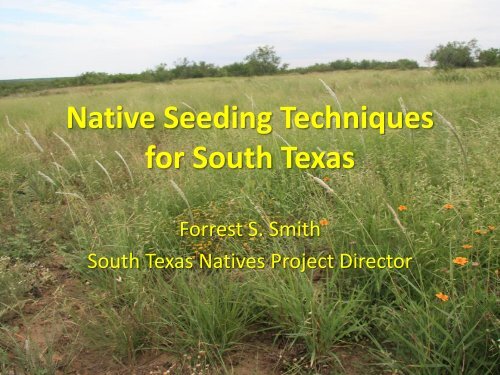 Native Seeding Techniques for South Texas - Caesar Kleberg ...