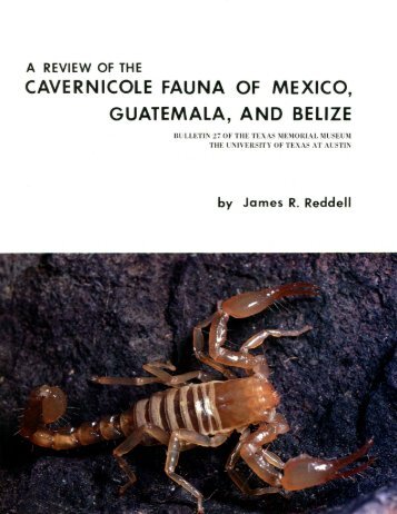 searchable PDF - Association for Mexican Cave Studies