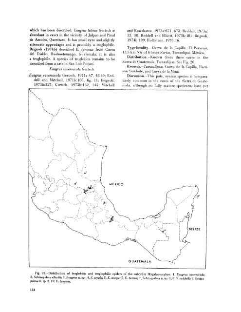 searchable PDF - Association for Mexican Cave Studies