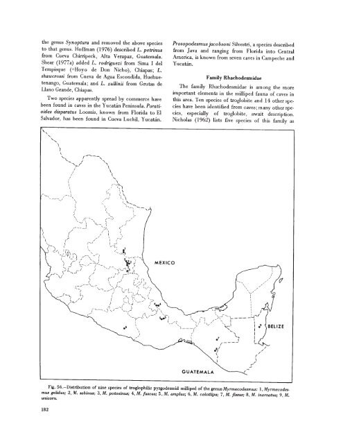 searchable PDF - Association for Mexican Cave Studies