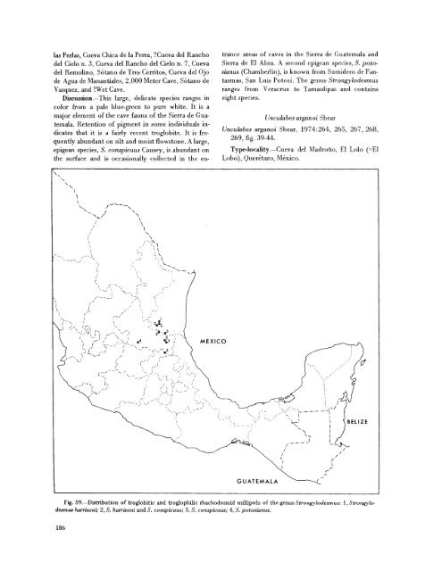 searchable PDF - Association for Mexican Cave Studies