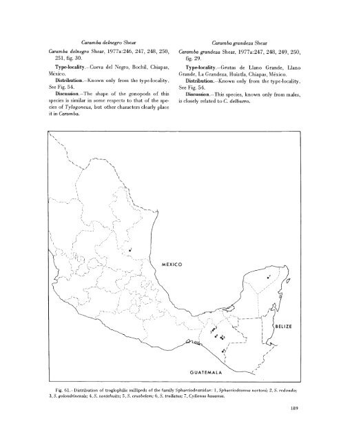 searchable PDF - Association for Mexican Cave Studies