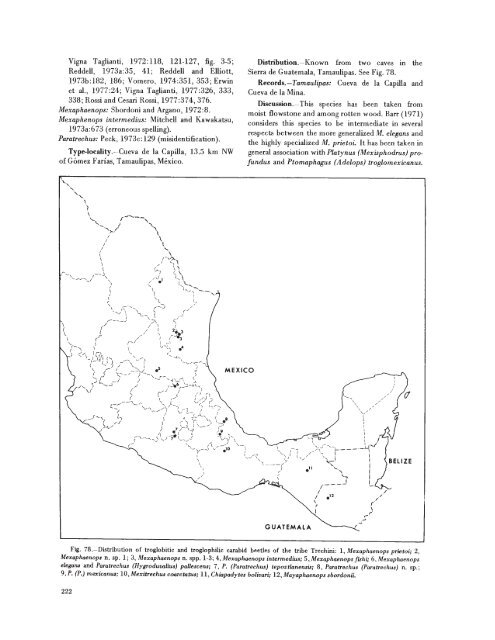 searchable PDF - Association for Mexican Cave Studies