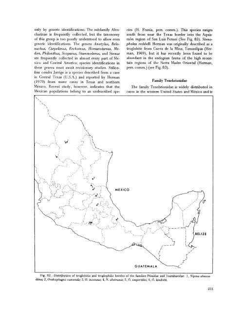 searchable PDF - Association for Mexican Cave Studies