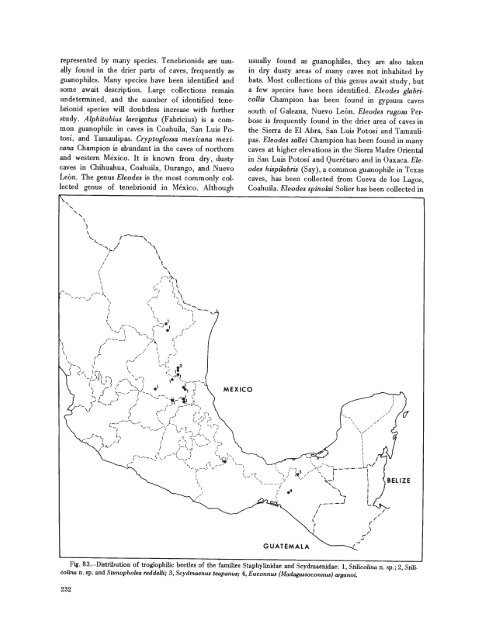 searchable PDF - Association for Mexican Cave Studies