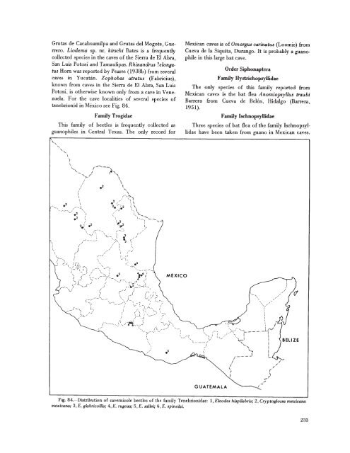 searchable PDF - Association for Mexican Cave Studies