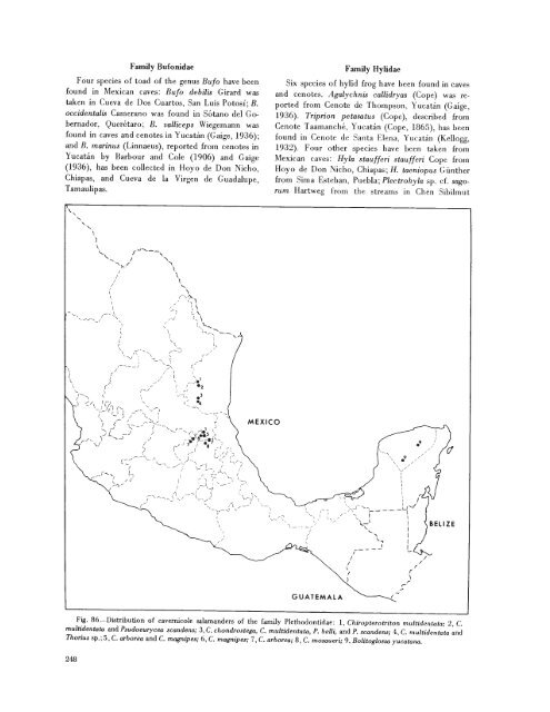 searchable PDF - Association for Mexican Cave Studies