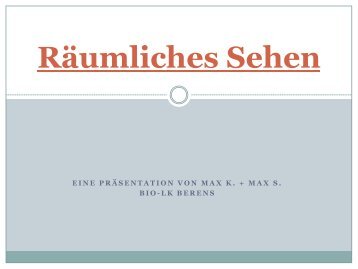 Räumliches Sehen