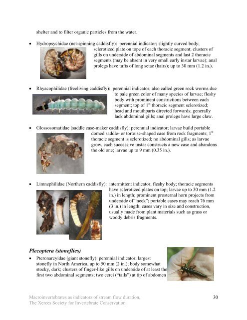 Using Aquatic Macroinvertebrates as Indicators of Stream Flow ...