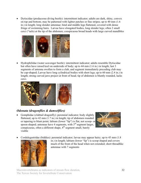 Using Aquatic Macroinvertebrates as Indicators of Stream Flow ...