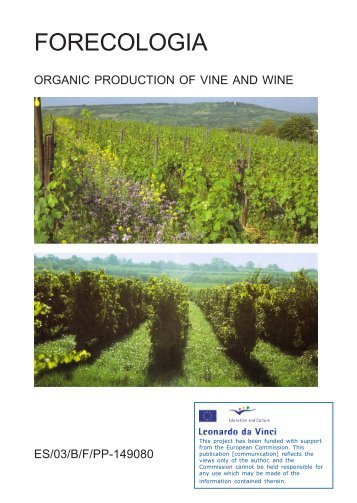 Organic vine wine - Projects - Ifes