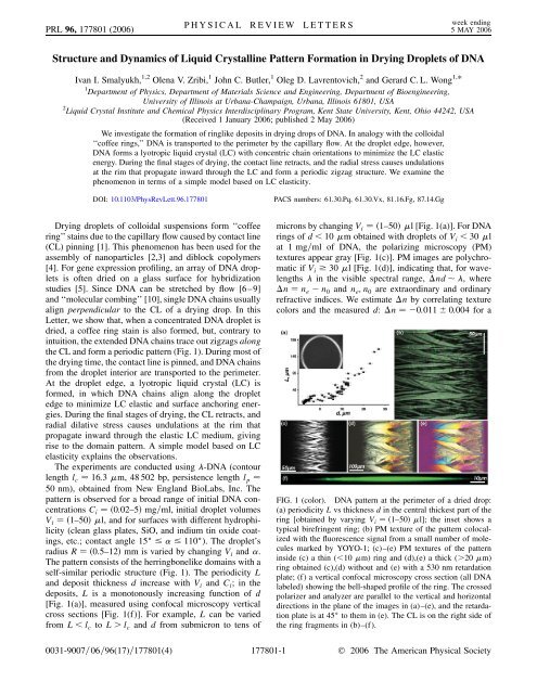 Structure and Dynamics of Liquid Crystalline Pattern Formation in ...