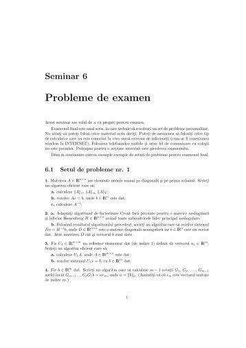 Probleme de examen