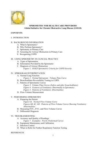 1 SPIROMETRY FOR HEALTH CARE PROVIDERS Global Initiative ...