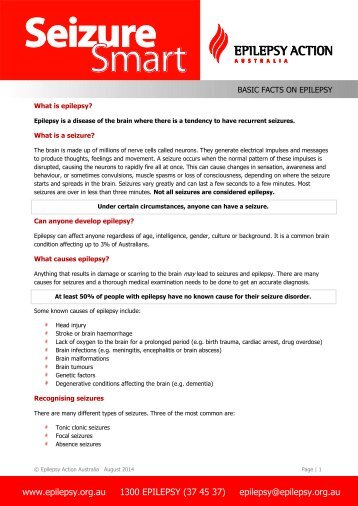 seizure plan template seizure plan template gallery template design ideas seizure plan template seizure plan template gallery template design ideas
