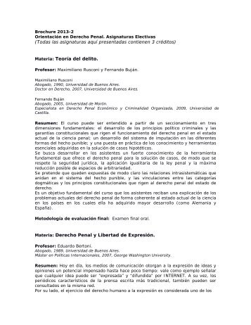 Brochure de Maestría y Posgrado en Derecho Penal 2013-2