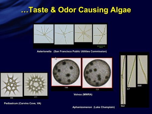 Using an Imaging Particle Analyzer - Ohiowater.org