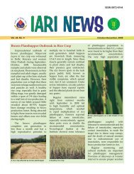 Brown Planthopper Outbreak in Rice Crop - Indian Agricultural ...