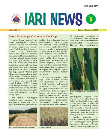 Brown Planthopper Outbreak in Rice Crop - Indian Agricultural ...