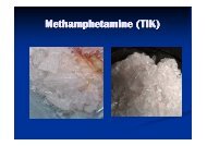 Presentation about Methamphetamine (TIK) - Drug Free Australia