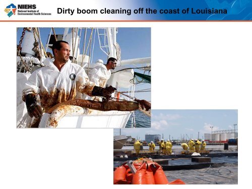 NIEHS Response to the Gulf Oil Spill