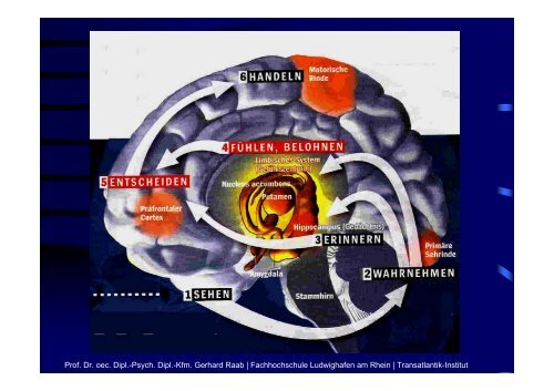 Dipl.psych., Dipl.kfm. Prof. Dr. Gerhard RAAB Der Kick des Kaufens ...