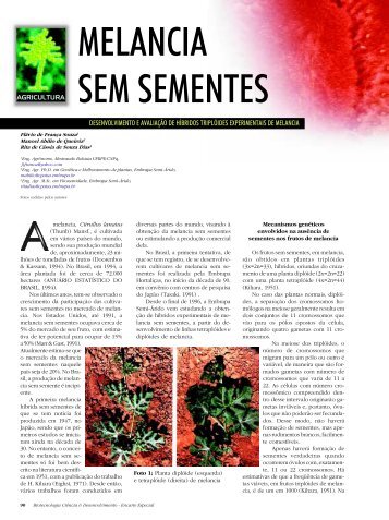 MELANCIA SEM SEMENTES - Biotecnologia