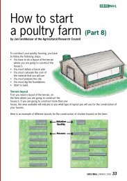 How to start a poultry farm (Part 8) - Ubisi Mail Magazine