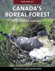 Canada's Boreal Forest - Canadian Forestry Association