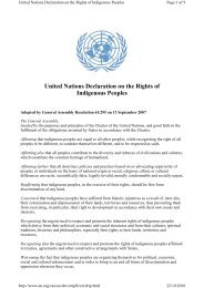 United Nations Declaration on the Rights of Indigenous Peoples