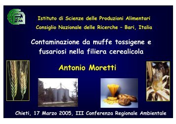 Contaminazione da muffe tossigene e fusariosi ... - ARTA Abruzzo