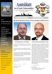 Amtsblatt - Stadt Hohenmölsen