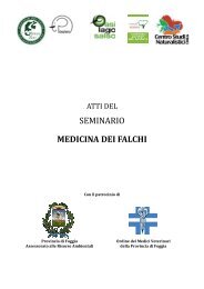 medicina dei falchi - Centro Studi Naturalistici ONLUS