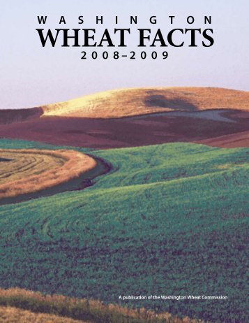 Washington Wheat Facts