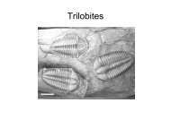 Trilobites