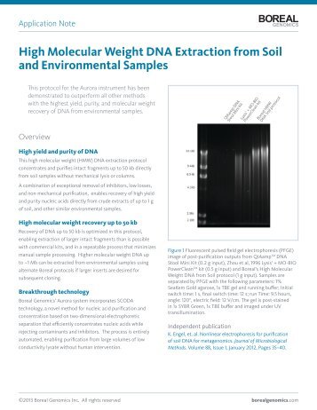 High Molecular Weight DNA Extraction from Soil ... - Boreal Genomics
