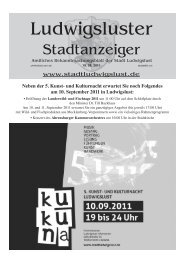 5. Kunst- und Kulturnacht, 10. September 2011 - Stadt Ludwigslust