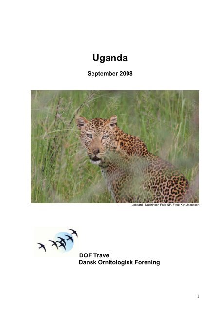 DOF Travel - Avian Watch Uganda