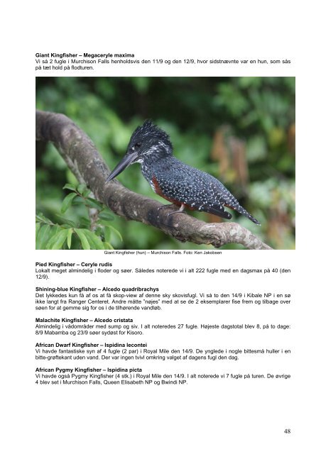 DOF Travel - Avian Watch Uganda