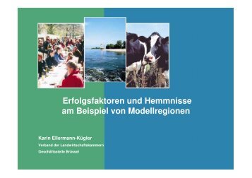 Erfolgsfaktoren und Hemmnisse am Beispiel von Modellregionen